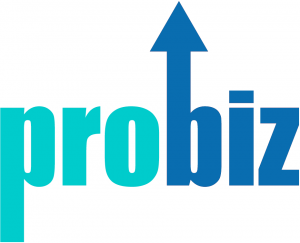 Pro Biz Services